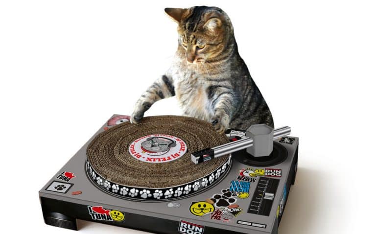You Can Now Buy A Scratch DJ Turntable For Your Cat