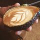 Avolatte