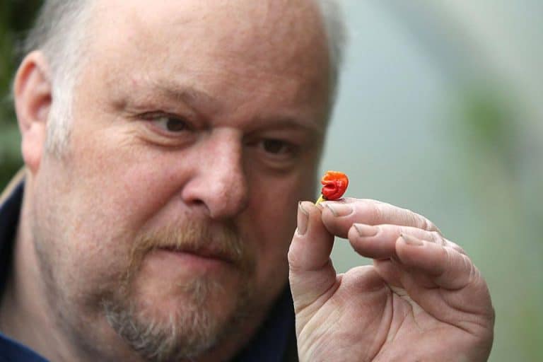 Someone’s Developed A Chilli So Spicy, It Would Kill You With One Bite