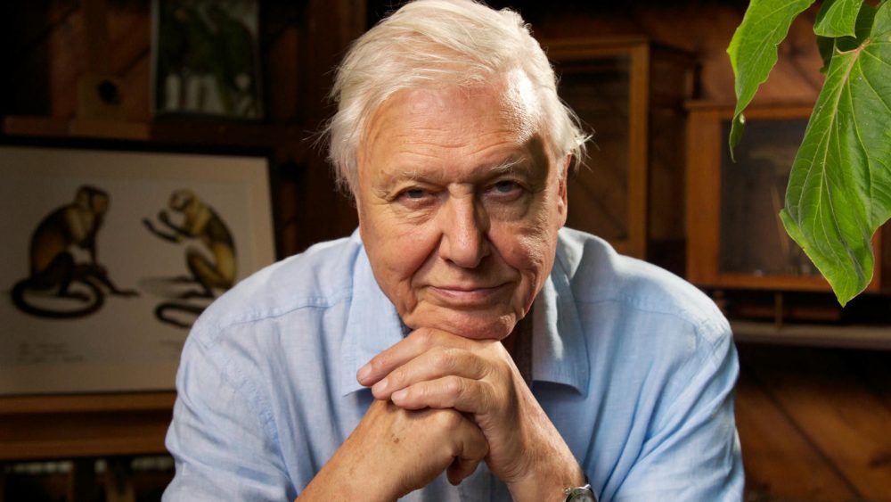 David Attenborough