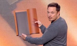 Elon Musk Roof Panels