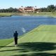 Golfer Kills Bird