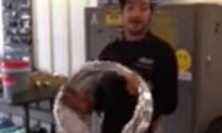 Guy
