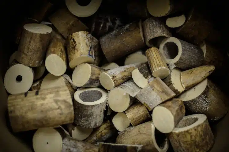 HONG KONG-CONSERVATION-ELEPHANT-IVORY