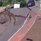 Explosive Eruption Devastates Street