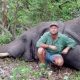 Theunis Botha