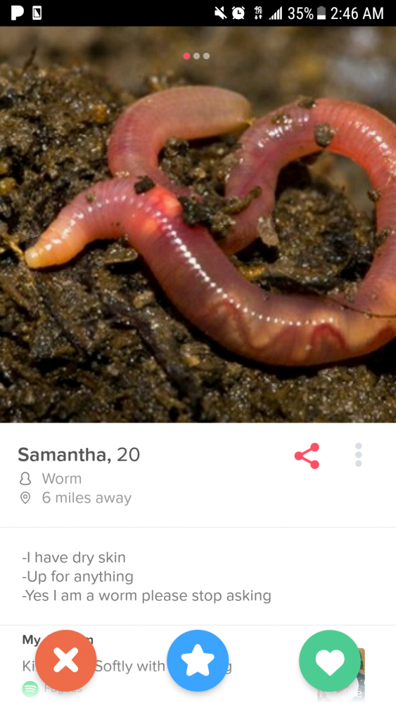 Tinder 8