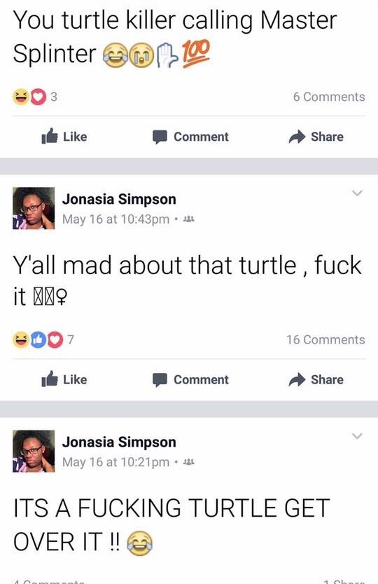 Turtle 2