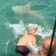 Wrestle Shark
