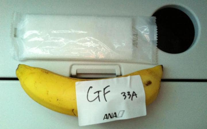 banana-pavelka-travel-large