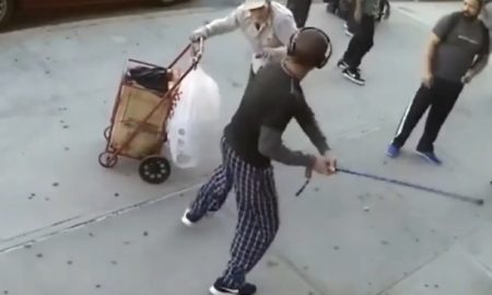 Cane Attack