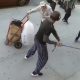 Cane Attack