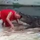 Crocodile Head Mouth