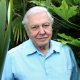 David Attenborough
