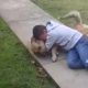 Dog boy reunited emotional