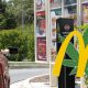 McDonald's Weed