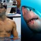 Phelps Great White Shark