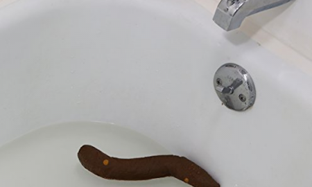 Turd In Sink