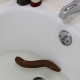 Turd In Sink