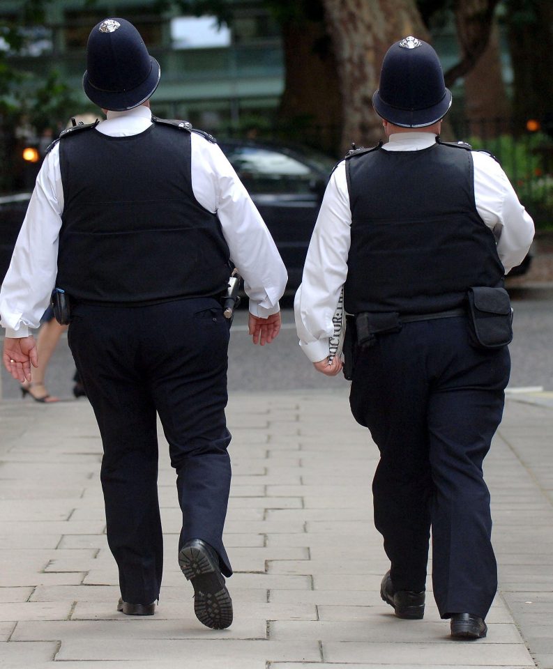 Overweight officers 1