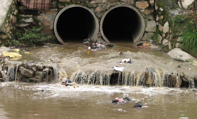 Thousands Sign Up To Clean Sewage Because They Didn’t Read Free WiFi Small Print