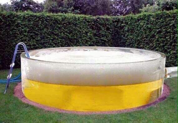 Image result for pool with beer