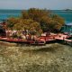 Bird Island 1