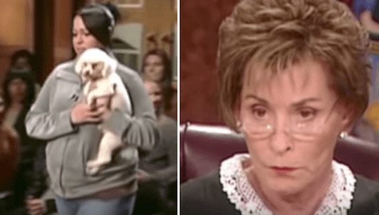 Judge Judy Dog