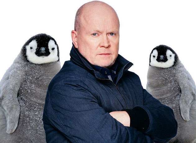 Phil Mitchell penguins