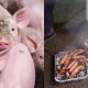 Piglet sausages