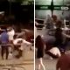 Ramsgate Brawl