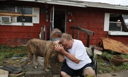 Hurricane Harvey man with dog