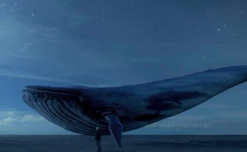 Blue Whale