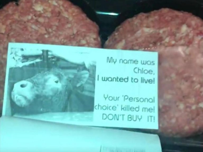 Woman Finds Note In Pack Of Burgers From The Cow Saying ‘You Killed Me’