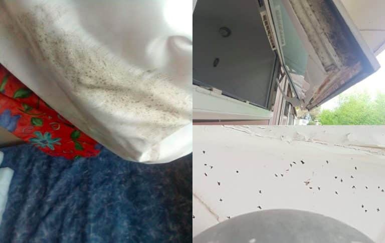 Family Reveal Details Of ‘Atrocious’ Pontins Holiday After Staying In Filthy Chalet
