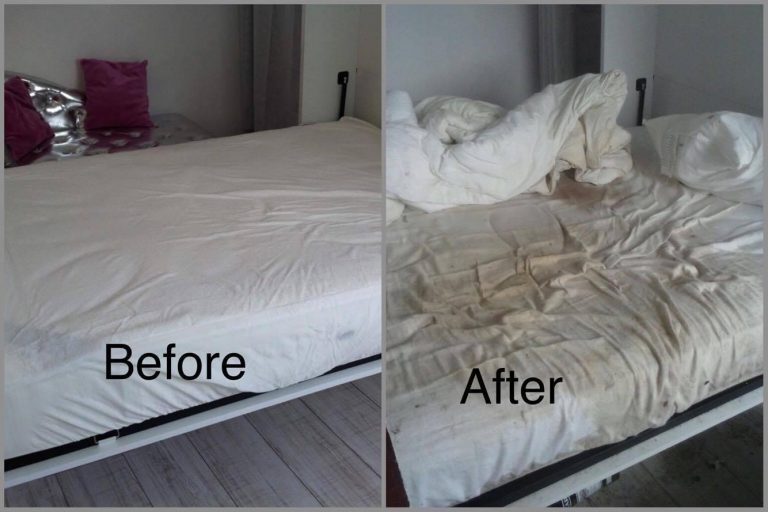 Photos Show Disgusting Airbnb Flat Where Renter Caused £10,000 Worth Of Damage