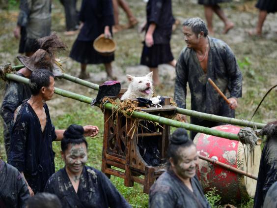 dog-festival-china2