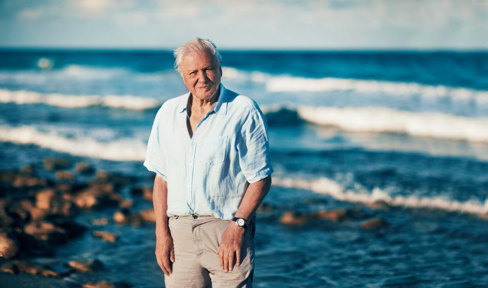 David Attenborough