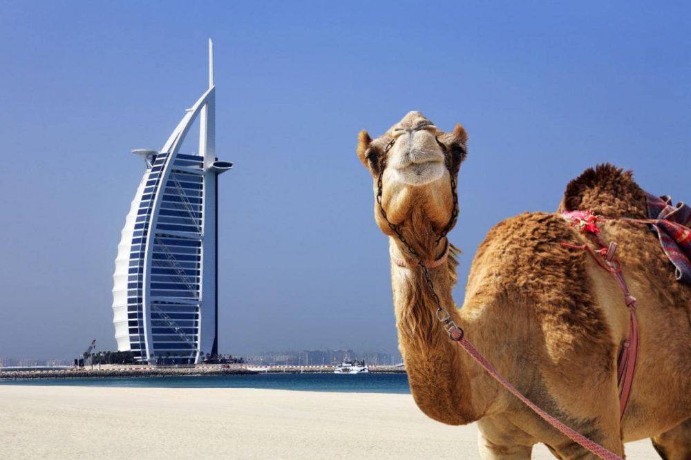 This Company Will Pay You $200,000 To Work In Dubai And You Don’t Need