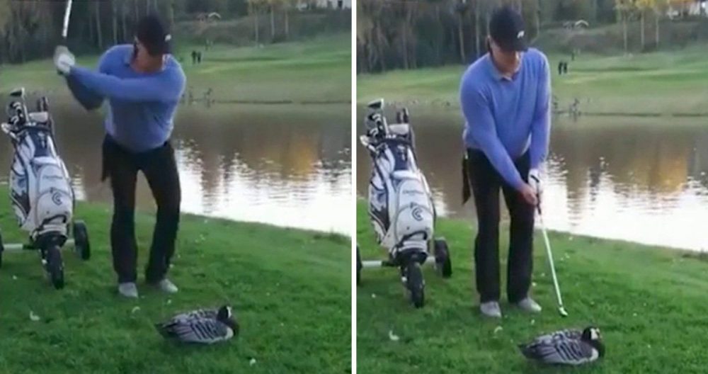 Golfer Decapitates Goose