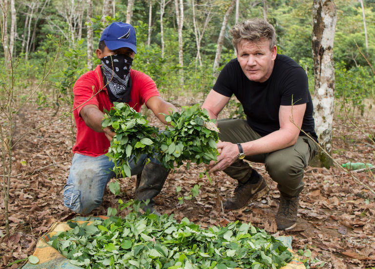 Gordon Ramsay Cocaine