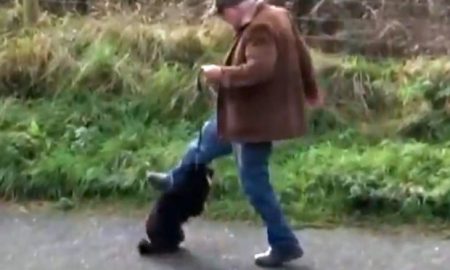 Guy Kicking Dog