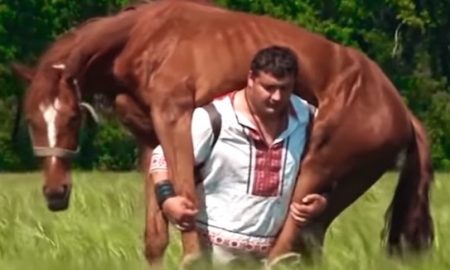 Ukrainian Strongman