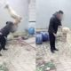 Guy Beats DogGuy Beats Dog