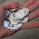 Litecoin 2