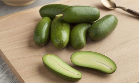 Stoneless Avocados