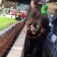 Boro Fan Bottle