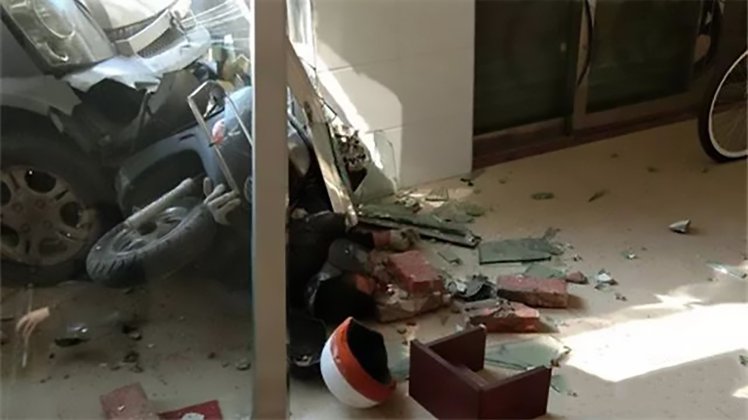 Owner Slams Dog Thief Dead Through Wall With Car