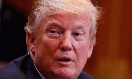 Donald Trump Hair