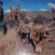 SA Hunters Facebook 2
